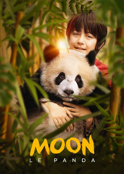 دانلود فیلم پاندایی به نام مون Moon The Panda 2025 دانلود فیلم پاندایی به نام مون Moon The Panda 2025