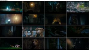 دانلود فیلم پسر خوب Good Boy 2025 دانلود فیلم پسر خوب Good Boy 2025