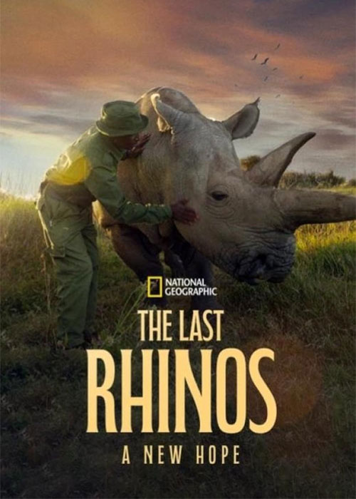 دانلود مستند The Last Rhinos: A New Hope 2025