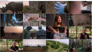 دانلود مستند The Last Rhinos: A New Hope 2025 دانلود مستند The Last Rhinos: A New Hope 2025