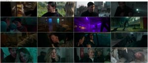 دانلود فیلم گربه وحشی Wildcat 2025 دانلود فیلم گربه وحشی Wildcat 2025