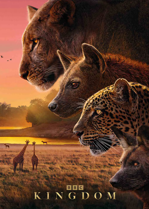 دانلود مستند پادشاهی Kingdom 2025 دانلود مستند پادشاهی Kingdom 2025