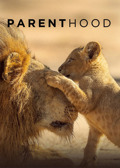دانلود مستند والدین بودن Parenthood 2025 دانلود مستند والدین بودن Parenthood 2025