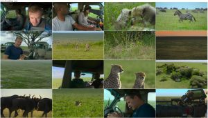 دانلود مستند Cheetahs Up Close with Bertie Gregory 2026