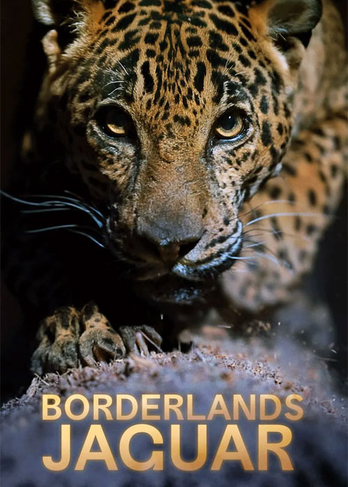 دانلود مستند جگوار سرزمین&zwnj;های مرزی Borderlands Jaguar 2026