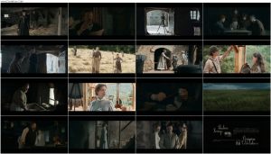 دانلود فیلم خانم ویولت Miss Violet 2024 دانلود فیلم خانم ویولت Miss Violet 2024