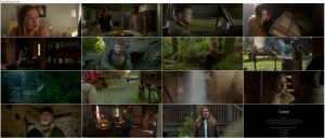دانلود فیلم یک مایل: قسمت دوم One Mile: Chapter Two 2026 دانلود فیلم یک مایل: قسمت دوم One Mile: Chapter Two 2026