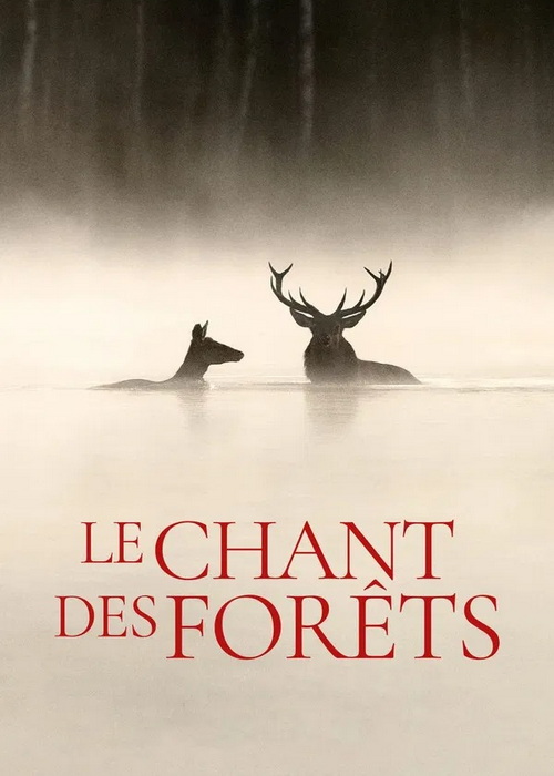 دانلود مستند نجواهایی در جنگل Whispers in the Woods 2025