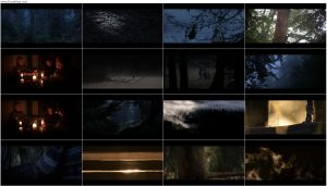 دانلود مستند نجواهایی در جنگل Whispers in the Woods 2025