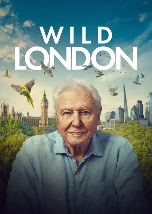 دانلود مستند لندن وحشی Wild London 2026