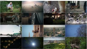 دانلود مستند لندن وحشی Wild London 2026 دانلود مستند لندن وحشی Wild London 2026
