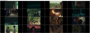 دانلود فیلم منظره روشن تپه ها A Pale View of Hills 2025