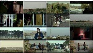 دانلود فیلم سال گربه با کیفیت عالی BluRay دانلود فیلم سال گربه