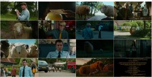 دانلود فیلم گوسفندان کارآگاه The Sheep Detectives 2026