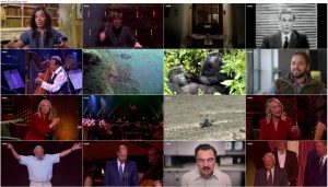 دانلود مستند David Attenborough's 100 Years on Planet Earth 2026 دانلود مستند David Attenborough's 100 Years on Planet Earth 2026