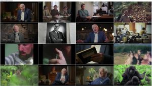 دانلود مستند Attenborough's Greatest Adventure 2026 دانلود مستند Life on Earth: Attenborough's Greatest Adventure 2026