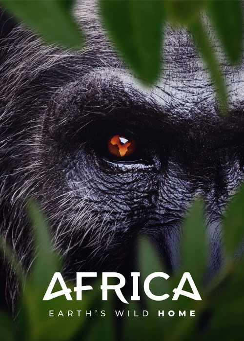 دانلود مستند آفریقا: خانه وحشی زمین Africa: Earth's Wild Home 2026 دانلود مستند آفریقا: خانه وحشی زمین Africa: Earth's Wild Home 2026