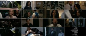 دانلود فیلم حیوانات Animals 2026 دانلود فیلم حیوانات Animals 2026