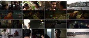 دانلود فیلم در برابر طوفان Surviving Hurricane Otis 2026