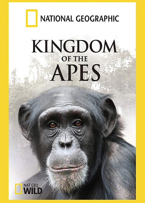 دانلود مستند پادشاهی میمون ها Kingdom of the Apes 2017 دانلود مستند پادشاهی میمون ها: خطوط نبرد Kingdom of the Apes: Battle Lines 2017