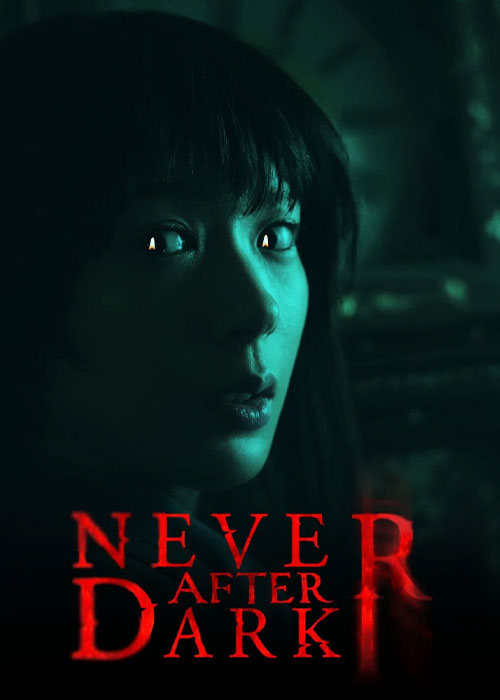 دانلود فیلم هرگز پس از تاریکی Never After Dark 2026